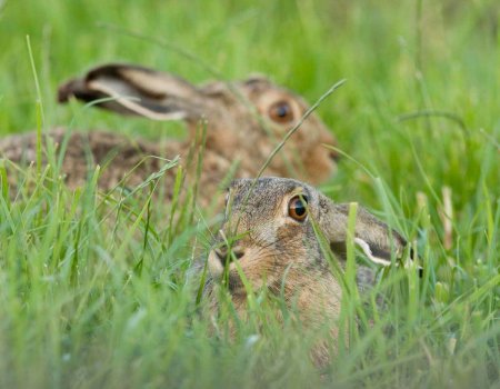 Jachthuurovereenkomsten Jachthuurovereenkomsten