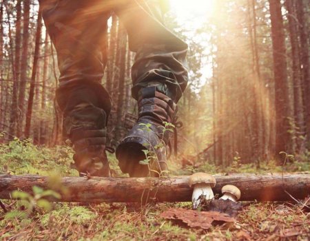 Speciale aanbieding voor aspirant jagers Speciale aanbieding voor aspirant jagers