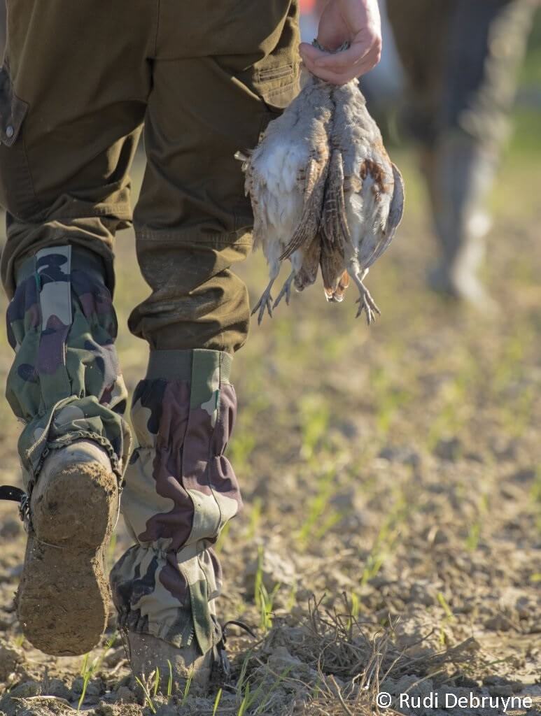 culinair-stoofpot-van-patrijs-1-773x1024 juist