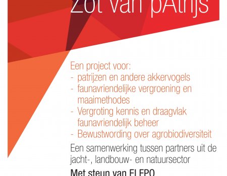 ‘Zot van pAtrijs’ goedgekeurd ‘Zot van pAtrijs’ goedgekeurd