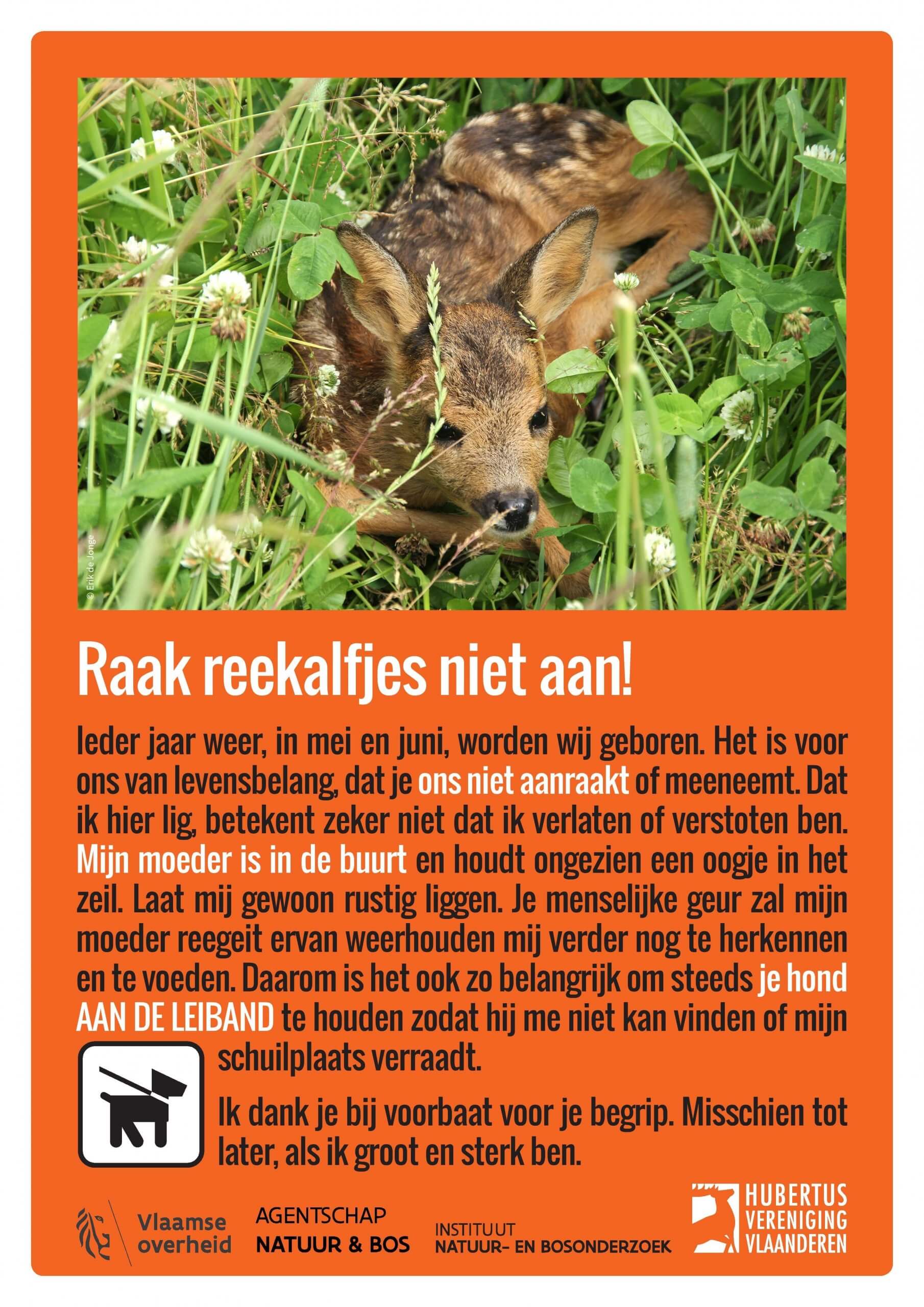 Raak reekalfjes niet aan! Raak reekalfjes niet aan!