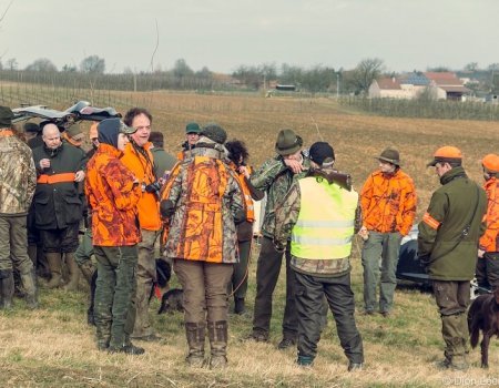 Verzekering BA Jacht blijft verplicht! Verzekering BA Jacht blijft verplicht!