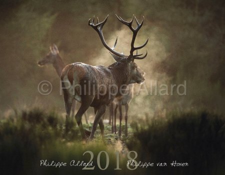 HVV Kalender 2018 HVV Kalender 2018