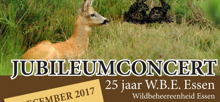 Jubileumconcert 25 jaar WBE Essen