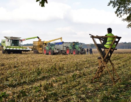 Jagen tijdens oogstwerkzaamheden is en blijft toegestaan Jagen tijdens oogstwerkzaamheden is en blijft toegestaan