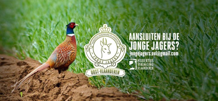 Stamtoog Jonge Jagers Oost-Vlaanderen februari