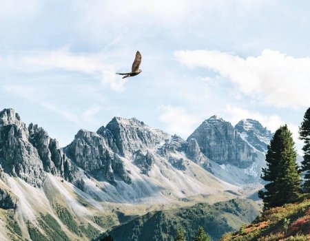 Swarovski Optik zoekt een sales and customer service medewerker Swarovski Optik zoekt een sales and customer service medewerker