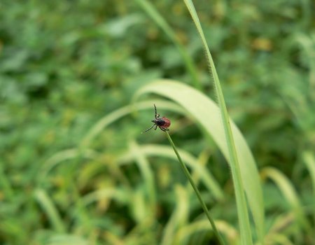 Tekencheck Tekencheck