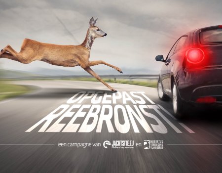 Verhoogd risico op overstekend wild door bronstperiode Verhoogd risico op overstekend wild door bronstperiode