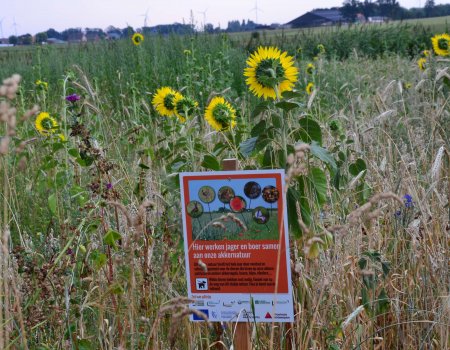 Zot van Patrijs: ‘kleine ingrepen, grote effecten’ Zot van Patrijs: ‘kleine ingrepen, grote effecten’