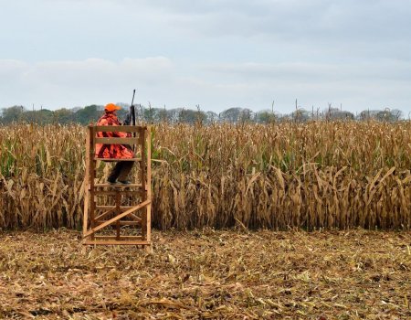 Oogstjacht: ‘Geen duimbreed toegeven op veiligheid’ Oogstjacht: ‘Geen duimbreed toegeven op veiligheid’