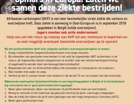 Afrikaanse varkenspest: druk verhogen op everzwijnenpopulatie Afrikaanse varkenspest: druk verhogen op everzwijnenpopulatie