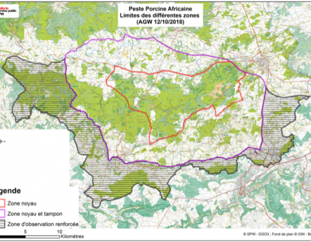 Afrikaanse varkenspest: jagers krijgen lessen in biosanitaire maatregelen Afrikaanse varkenspest: jagers krijgen lessen in biosanitaire maatregelen
