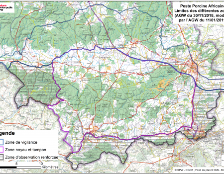 Afrikaanse varkenspest: besmet kerngebied uitgebreid Afrikaanse varkenspest: besmet kerngebied uitgebreid