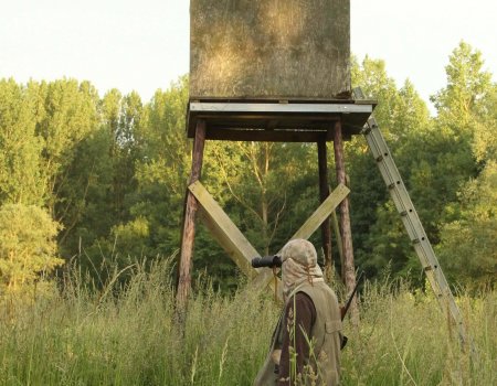 Een jachtkansel plaatsen: kan het zomaar én overal? Een jachtkansel plaatsen: kan het zomaar én overal?