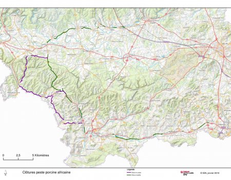 Afrikaanse varkenspest: Frans leger ingeschakeld Afrikaanse varkenspest: Frans leger ingeschakeld