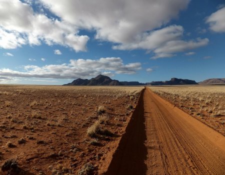 WWF: ‘Trofeejacht kan onder bepaalde voorwaarden’ WWF: ‘Trofeejacht kan onder bepaalde voorwaarden’