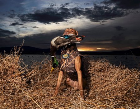 Interview: ‘Ik trok 38.000 foto’s over de jacht’ Interview: ‘Ik trok 38.000 foto’s over de jacht’