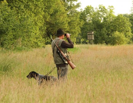 Medisch attest: details nog onduidelijk Medisch attest: details nog onduidelijk