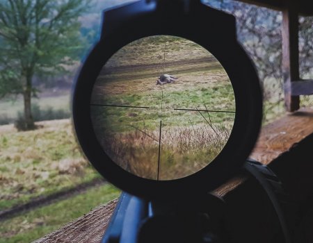 Opinie: ‘Jacht heeft op lokaal niveau een positieve impact’ Opinie: ‘Jacht heeft op lokaal niveau een positieve impact’