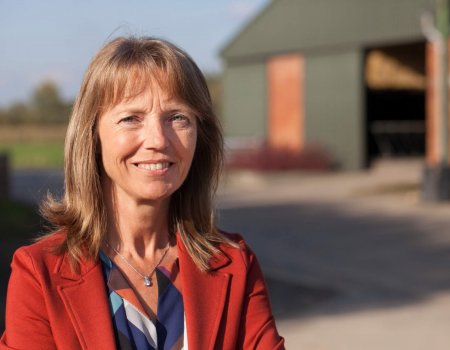 Interview Boerenbond: ‘Geweld lokt geweld uit’ Interview Boerenbond: ‘Geweld lokt geweld uit’