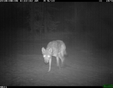 Jachtsector reageert op telefoontjes: ‘Bewijst helemaal niets’ Jachtsector reageert op telefoontjes: ‘Bewijst helemaal niets’