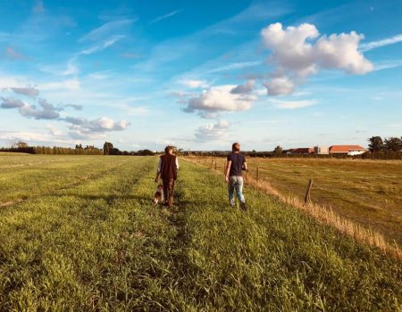 Open patrijzentelling: ‘niets te verbergen’ Open patrijzentelling: ‘niets te verbergen’