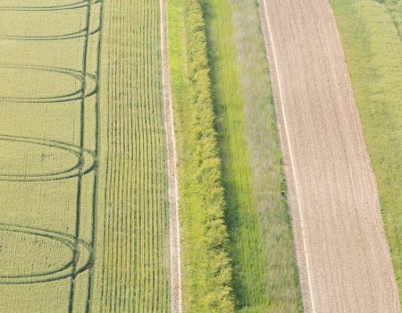 Coronavirus: ‘Individuele jacht verspreidt geen Covid-19’ Coronavirus: ‘Individuele jacht verspreidt geen Covid-19’