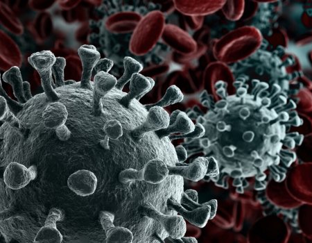 Demir: ‘Jacht verboden tijdens coronavirus’ Demir: ‘Jacht verboden tijdens coronavirus’