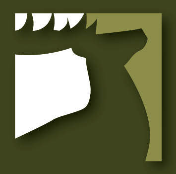 Coronavirus: wat ik (niet) als jager mag doen? Coronavirus: wat ik (niet) als jager mag doen?