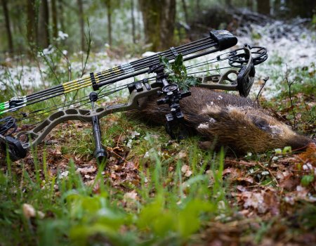 Zomercursus boogjagen: ‘Makkelijk onder de knie te krijgen’ Zomercursus boogjagen: ‘Makkelijk onder de knie te krijgen’