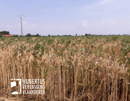 Wetgeving: Mag ik aan bestrijding en bijzondere bejaging doen terwijl mijn meldingsformulier thuis ligt? Wetgeving: Mag ik aan bestrijding en bijzondere bejaging doen terwijl mijn meldingsformulier thuis ligt?