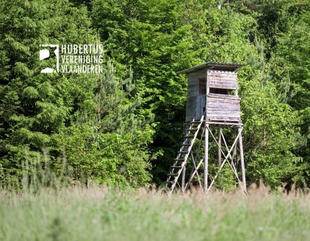 Een jachtkansel plaatsen: kan het zomaar én overal? Een jachtkansel plaatsen: kan het zomaar én overal?