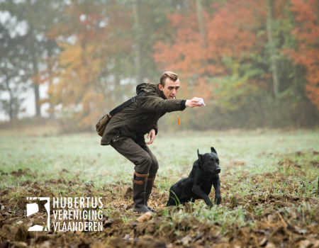 Gezocht: jachtrevier voor veldwedstrijden met tophonden Gezocht: jachtrevier voor veldwedstrijden met tophonden