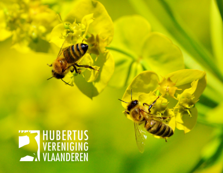 Imkers en jagers gaan jachtterreinen bij-vriendelijk maken Imkers en jagers gaan jachtterreinen bij-vriendelijk maken