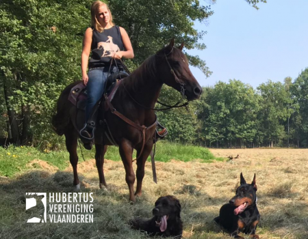 Column: Te paard Column: Te paard