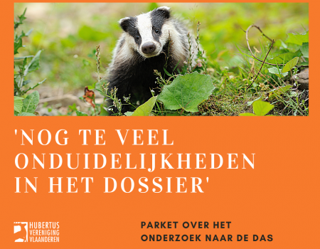 Das-incident: hijgerige beschuldigingen, weinig bewijzen voorlopig Das-incident: hijgerige beschuldigingen, weinig bewijzen voorlopig