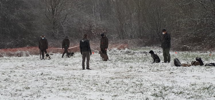 Jachthondenopleiding 2022 – Vlaams Brabant