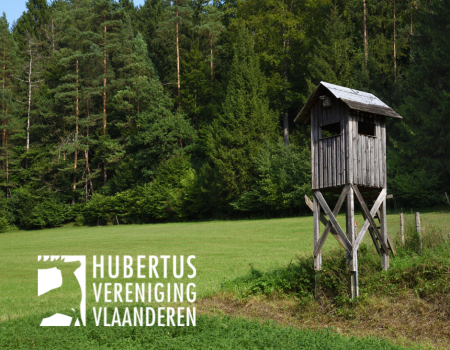 Drukjacht: jachtkansen voor Jonge Jagers Drukjacht: jachtkansen voor Jonge Jagers