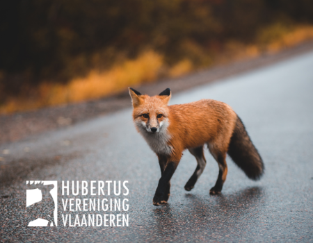 20 jaar HVV in de bres, 20 historische realisaties 20 jaar HVV in de bres, 20 historische realisaties