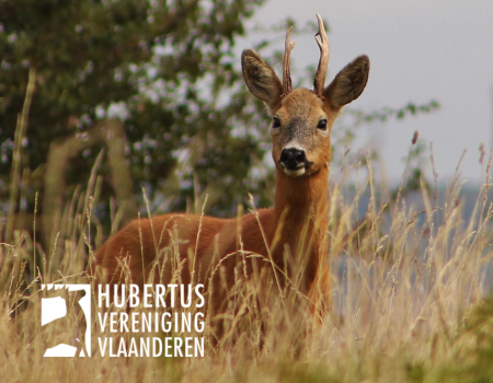 Update jachtplannen: meer dan 3700 jachtvelden gaven via HVV-intranet voorjaarstellingen in Update jachtplannen: meer dan 3700 jachtvelden gaven via HVV-intranet voorjaarstellingen in
