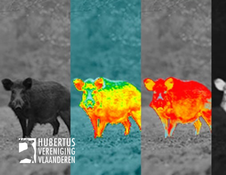 Warmtebeeld: een nieuw gadget voor jagers Warmtebeeld: een nieuw gadget voor jagers