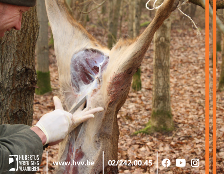 Aandacht: aanpassing registratienummer voor gekwalificeerd persoon Aandacht: aanpassing registratienummer voor gekwalificeerd persoon