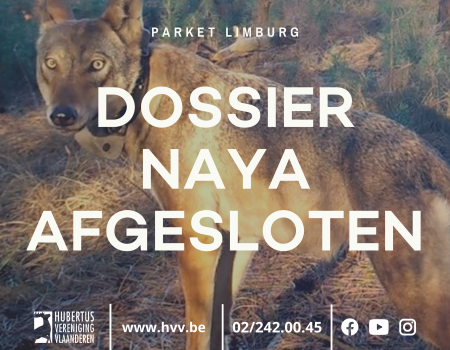 Gerechtelijk onderzoek naar Naya afgesloten Gerechtelijk onderzoek naar Naya afgesloten