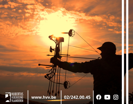 HVV-standpunt: laag boogjacht toe in Vlaanderen HVV-standpunt: laag boogjacht toe in Vlaanderen