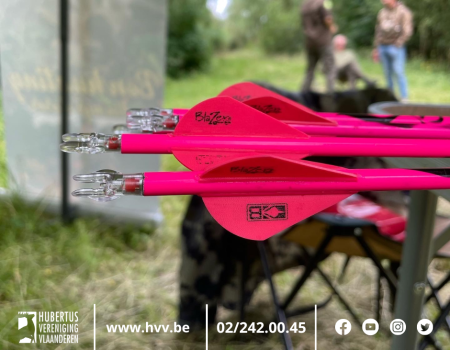 Boogjacht: expert ontkracht een aantal misvattingen Boogjacht: expert ontkracht een aantal misvattingen