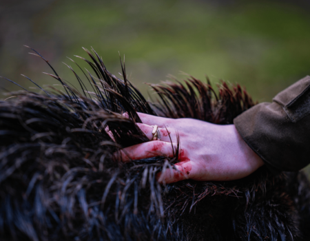 Internationale Vrouwendag – De Vlaamse Jaagster Internationale Vrouwendag – De Vlaamse Jaagster