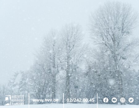 De sneeuwregel, een opfrissing De sneeuwregel, een opfrissing