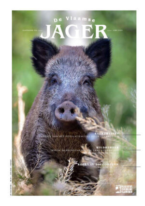 2023_025_Juni_DVJ_cover