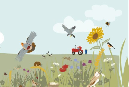 Studiedag: Partridge & Beespoke